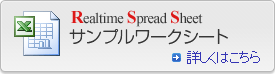 Realtime Spread Sheet ����ץ��������ȡ��ܤ����Ϥ�����