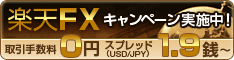 ��ŷFX�����ڡ���»��桪