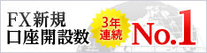 ������ؾڵ���� 2010ǯ��Ⱦ�� �������³��߿����ͥåȾڷ�No.1��